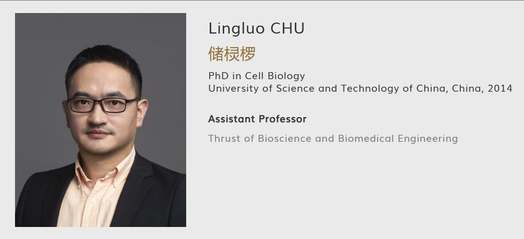 香港科技大学（广州）全奖博士项目（Lingluo Chu教授）