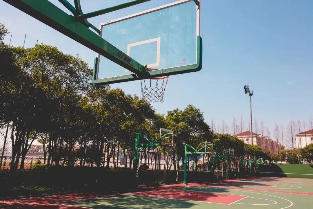 上海徐汇国际学校 | 民办位育中学国际部！