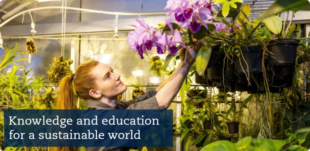 瑞典留学 | 英授本科！学习有深度，生活有温度。申请要求+热门专业（隆德/乌普萨拉/哥德堡/斯德哥尔摩）