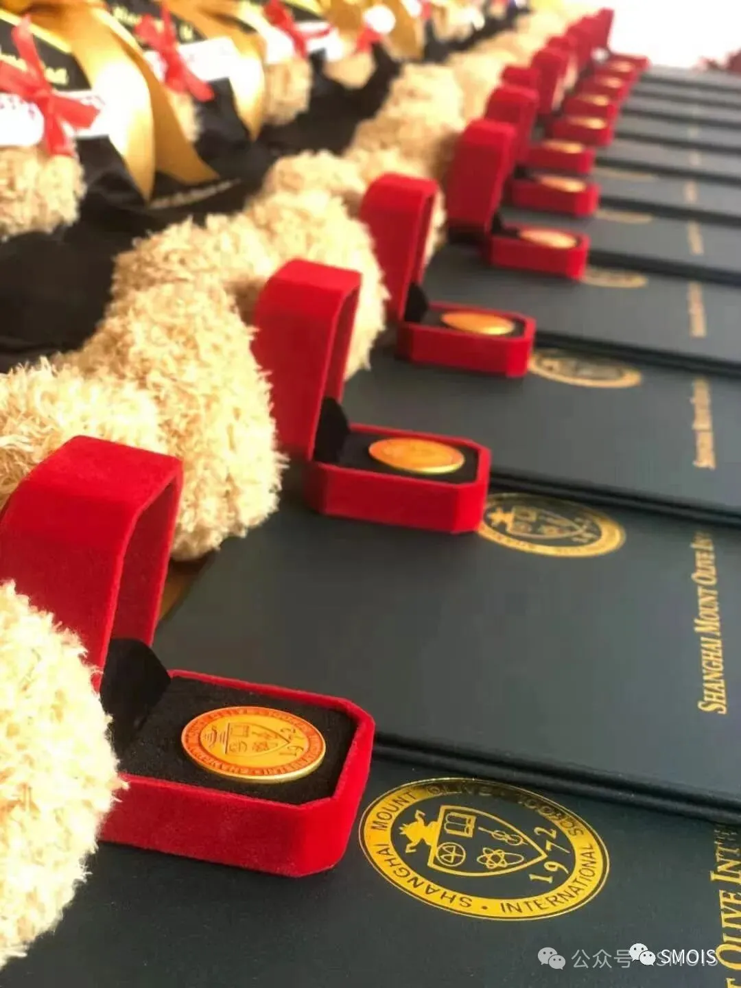 上海蒙特奥利弗香港DSE课程2026年春季招生简章 上海蒙特奥利弗香港DSE课程2026年春季招生简章