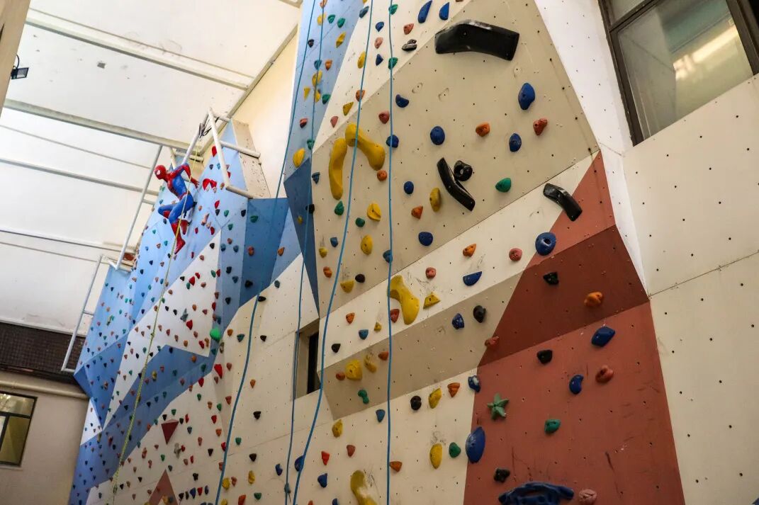 Leighton | 上海励滕伯克曼2026年春季招生简章 Leighton | 上海励滕伯克曼2026年春季招生简章