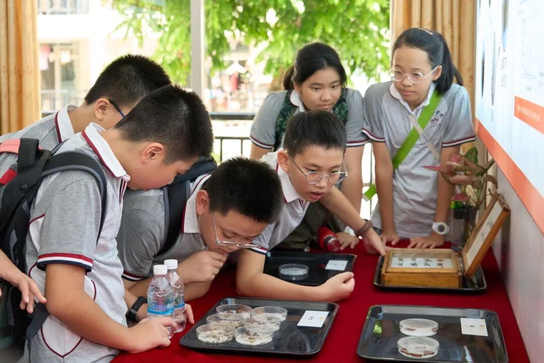 深圳硬核科创国际校盘点!这几所宝藏学校别错过~ 深圳硬核科创国际校盘点!这几所宝藏学校别错过~