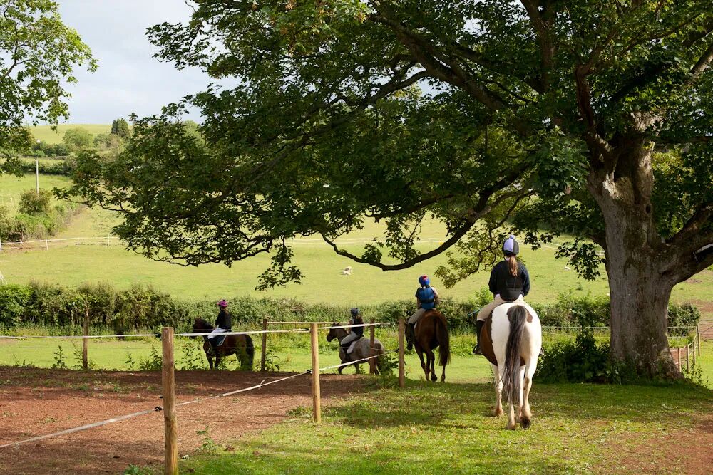 Sidcot School|全英最佳马术运动名校之一,AL/IB双体系,科学、数学和创意艺术享盛誉 Sidcot School|全英最佳马术运动名校之一,AL/IB双体系,科学、数学和创意艺术享盛誉