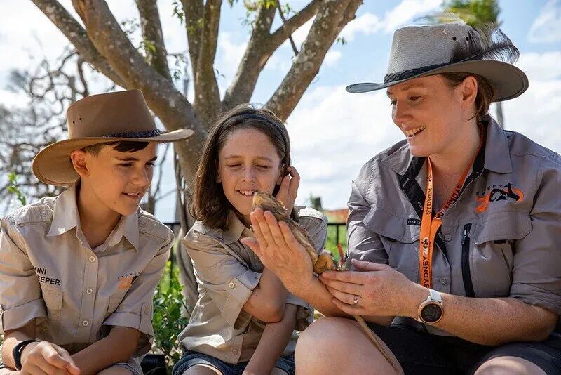 阿思丹国际菁英计划报名中！英欧澳新日五大项目地任你选，有机会获得UCAS 认证 buff！