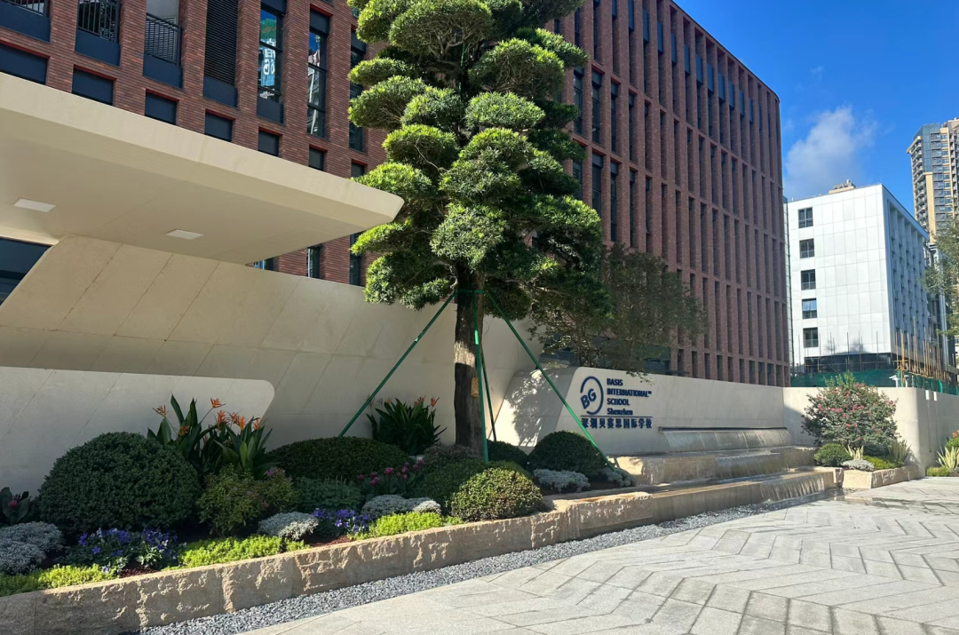 贝赛思BASIS Global & 爱圣国际教育集团发布了2026-2027全球卓越学生奖学金项目 贝赛思BASIS Global & 爱圣国际教育集团发布了2026-2027全球卓越学生奖学金项目