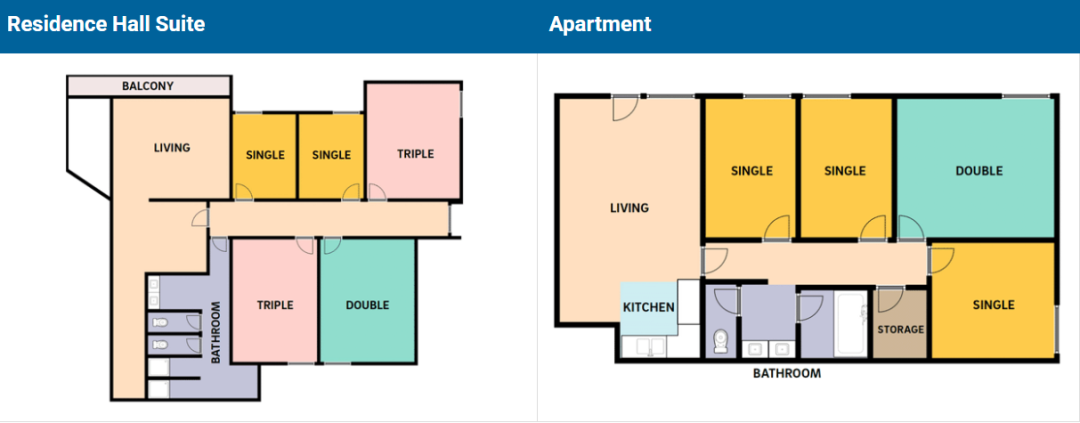 【藤莘科普】UCSD的“哈利波特”分院制：八个学院，八种人生，你该Pick谁？