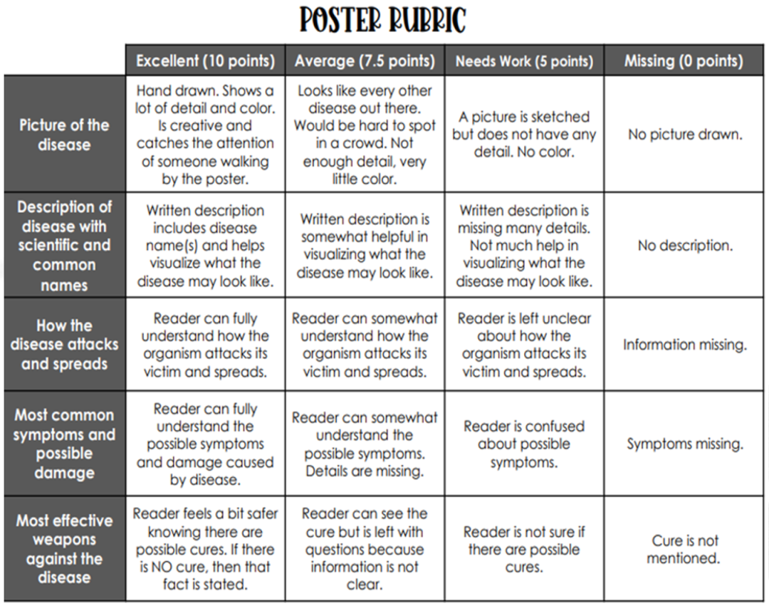 当家长成为“五年级学生”：德闳小学部家长学院科学课，揭秘探究式学习的魔力