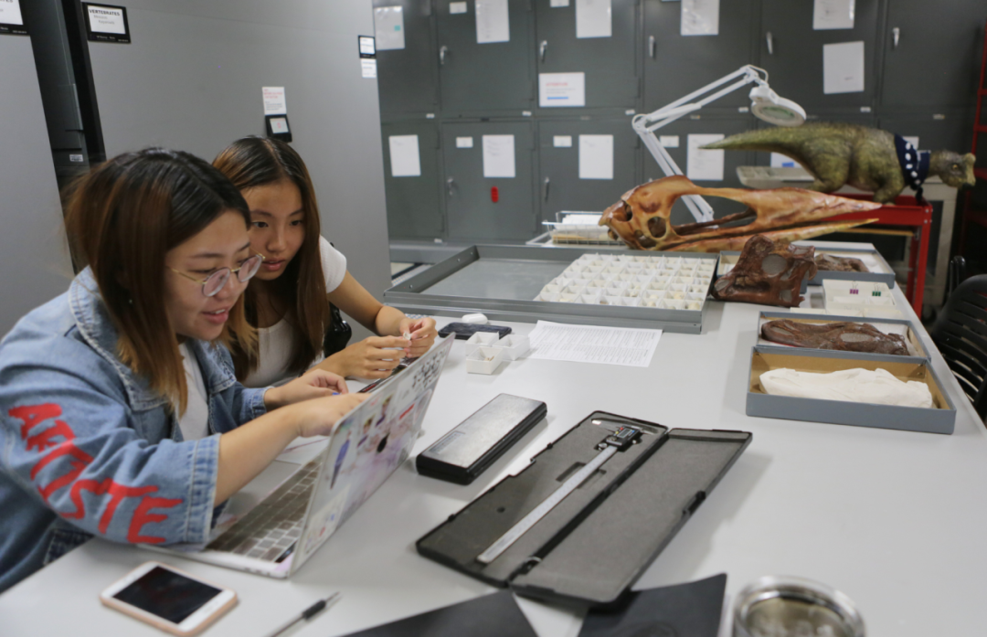 美高科学课能多有趣？古生物、造船、破案…课程深度直逼大学！