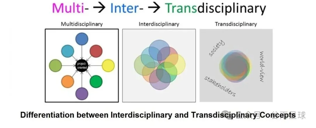 8大藤校全部出局，新出的「跨学科大学排名」有点意思