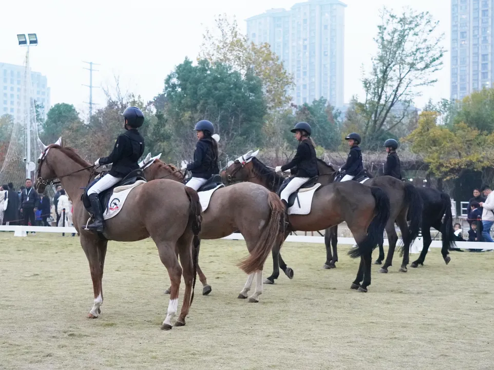 苏州国际高中｜康桥学校昆山校区2026年招生简章！11月29日开放日！开设A-level、AP、IB-DP、日本课程！