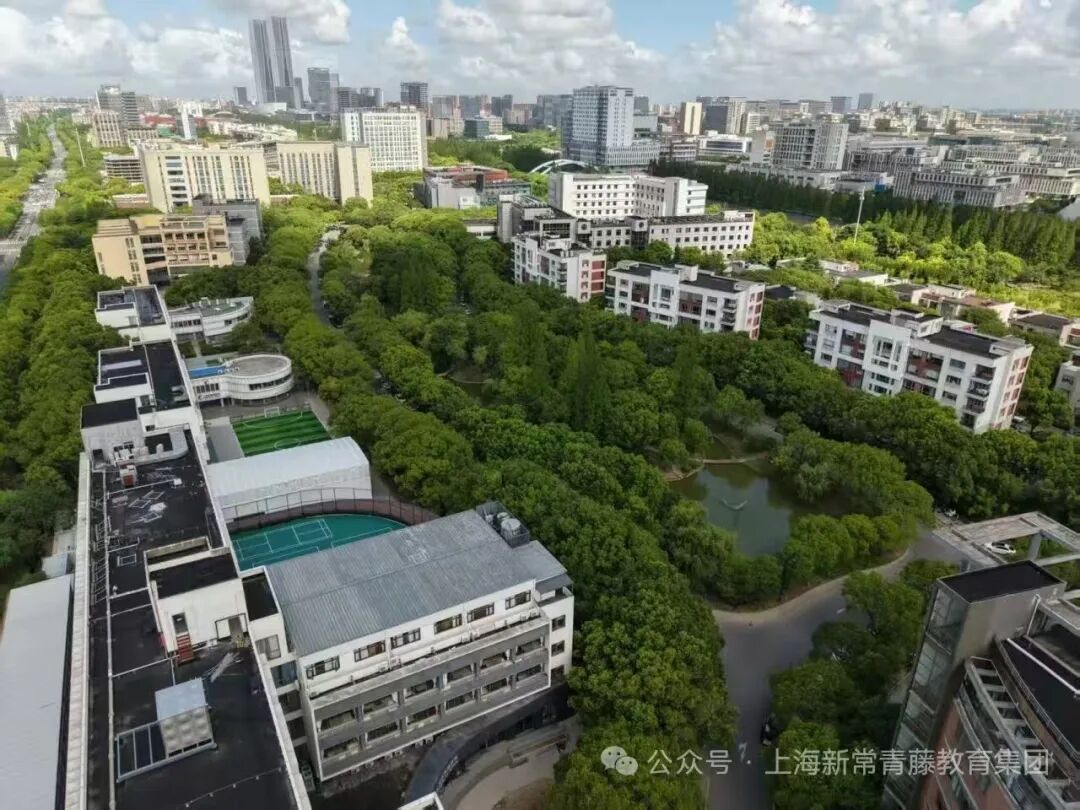 上海青藤学园中日融合高中|校园开放日&2026年春季生招考公告
