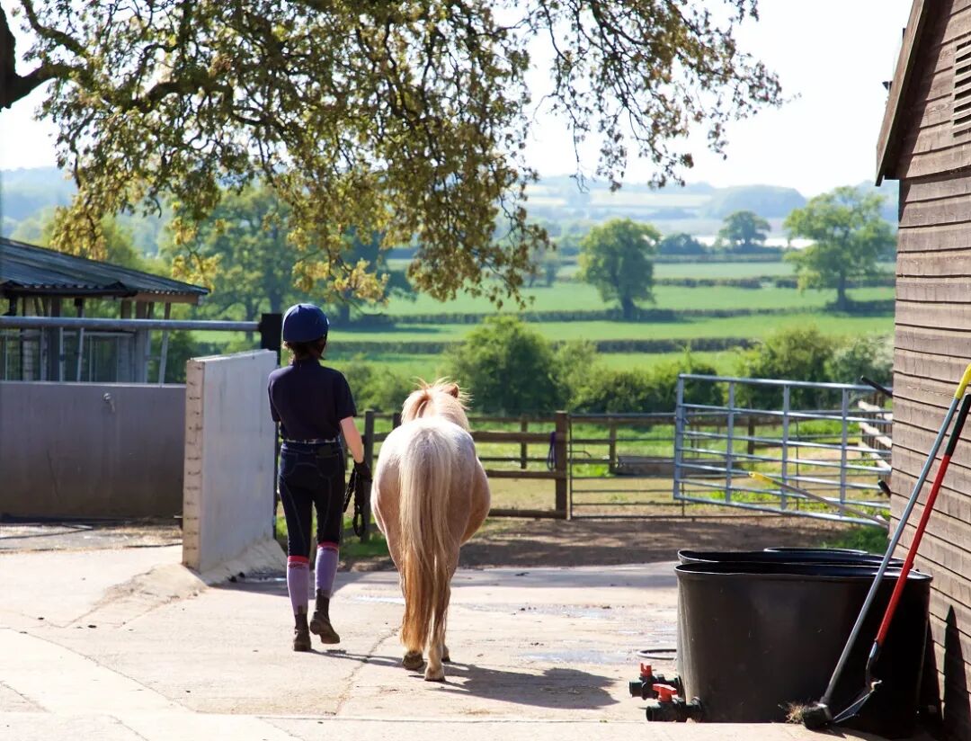 Stonar School|英国STEM强校,以专业马术课程闻名,开设独特的飞行俱乐部 Stonar School|英国STEM强校,以专业马术课程闻名,开设独特的飞行俱乐部