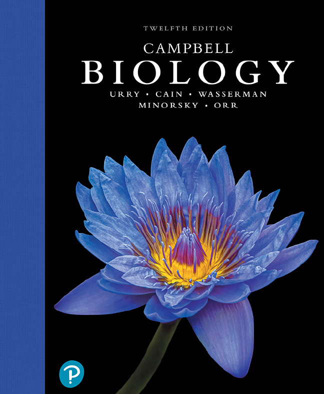 普高生如何拿下USABO/BBO双金奖？