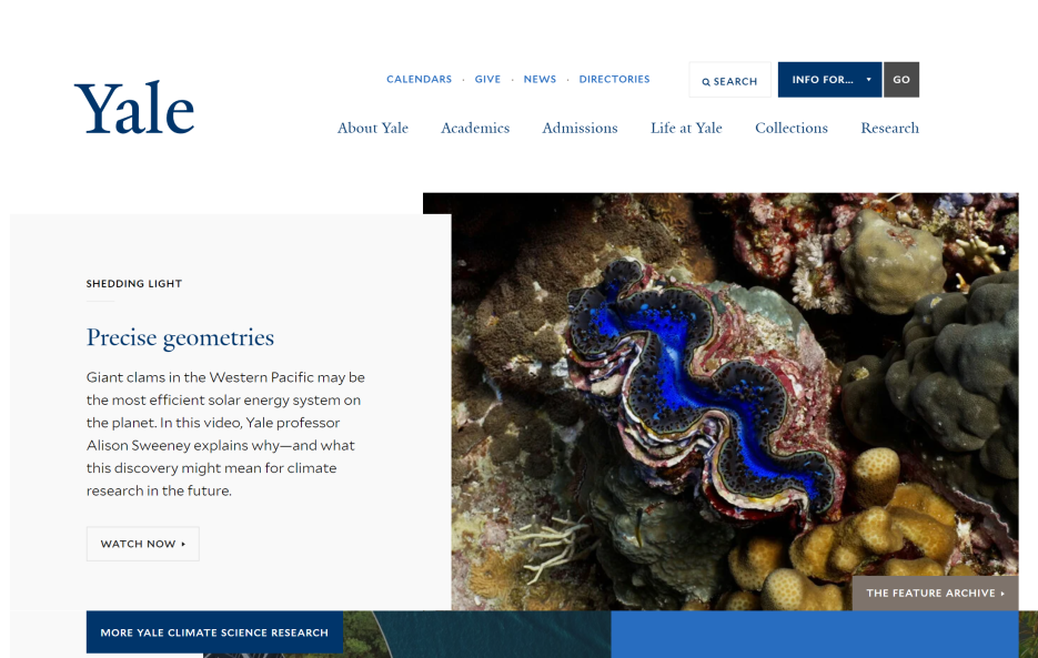 美国名校深度探访系列：Yale University