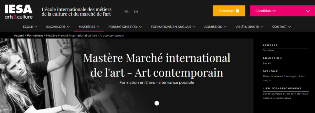 IESA法授2年制硕士：Mastère国际艺术市场 - 当代艺术 - RNCP 7 级