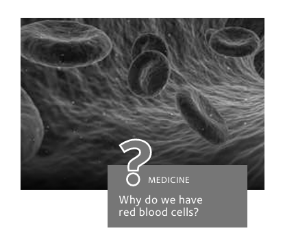 冲刺英国高端院校:大学面试流程+常见问题+必备技巧解析! 冲刺英国高端院校:大学面试流程+常见问题+必备技巧解析!