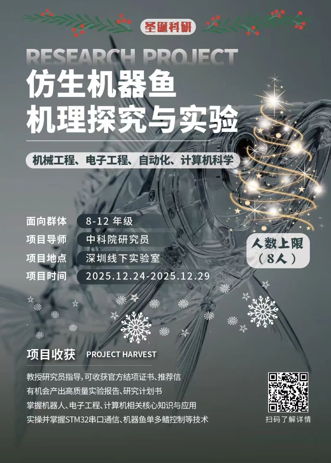 项目合集|机构2025圣诞&2026寒假物理特辑 项目合集|机构2025圣诞&2026寒假物理特辑
