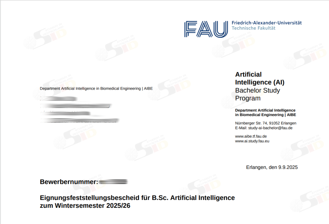 普高休学转战国际体系？拿下德国一流大学硬核录取
