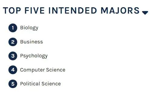 2029届美本顶尖院校录取全景解读:国际生比例创新高,5大趋势提前get! 2029届美本顶尖院校录取全景解读:国际生比例创新高,5大趋势提前get!