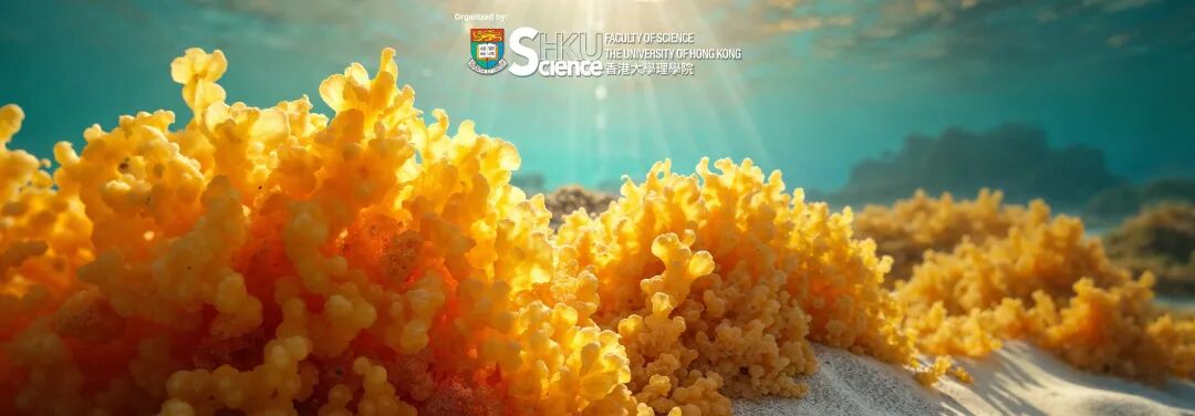 2026年香港大学夏校报名月底开启!新增环保、商科、语言项目 2026年香港大学夏校报名月底开启!新增环保、商科、语言项目