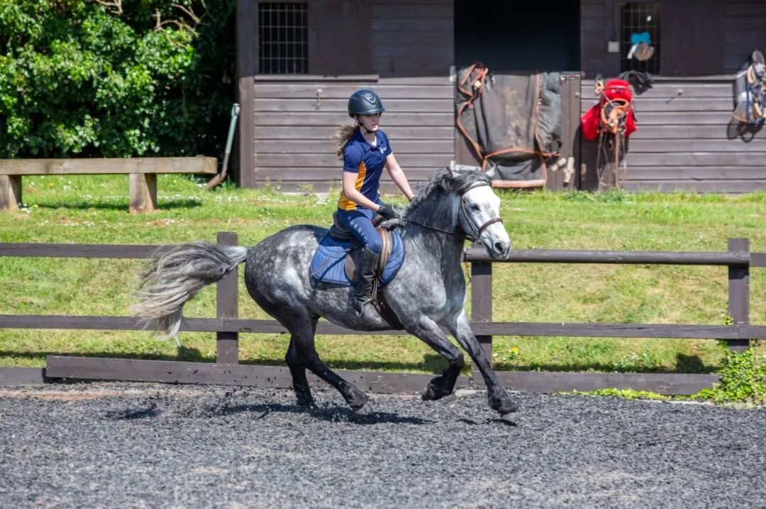 Sidcot School|全英最佳马术运动名校之一,AL/IB双体系,科学、数学和创意艺术享盛誉 Sidcot School|全英最佳马术运动名校之一,AL/IB双体系,科学、数学和创意艺术享盛誉