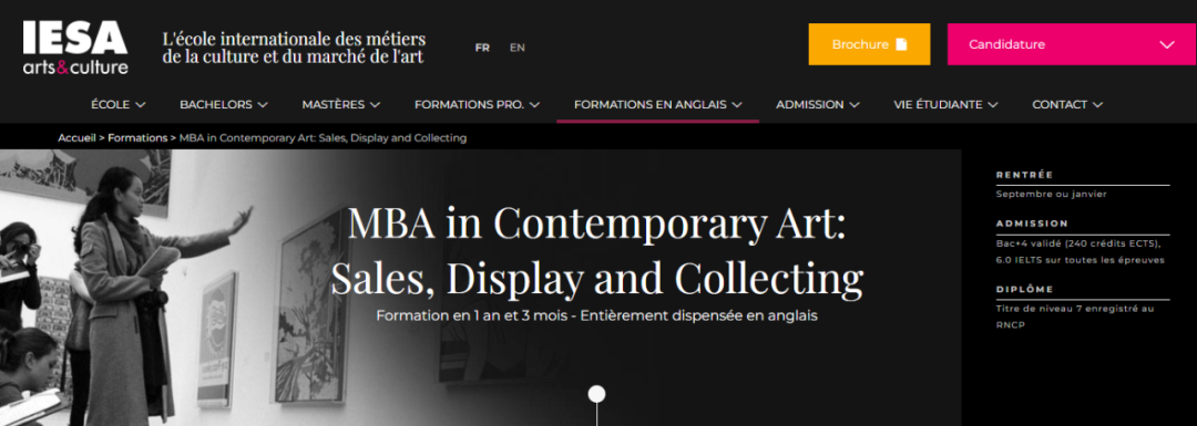 IESA英授1年制硕士 MBA当代艺术:销售、展示与收藏 - RNCP 7级 IESA英授1年制硕士 MBA当代艺术:销售、展示与收藏 - RNCP 7级