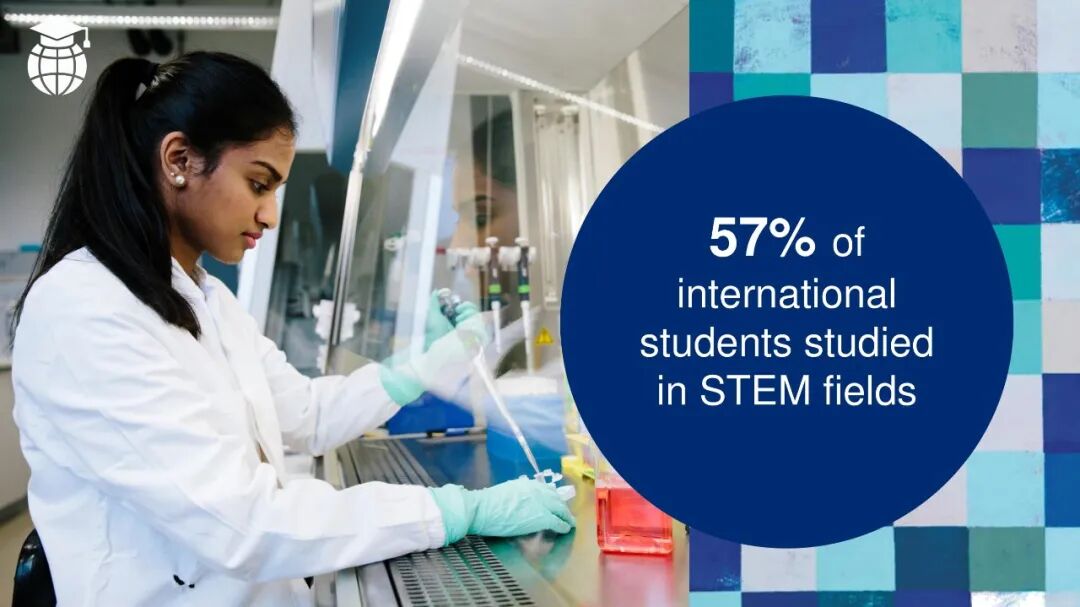 2025官方报告！美国国际生总人数创新高，大陆本科生人数暴跌，STEM专业仍是顶流