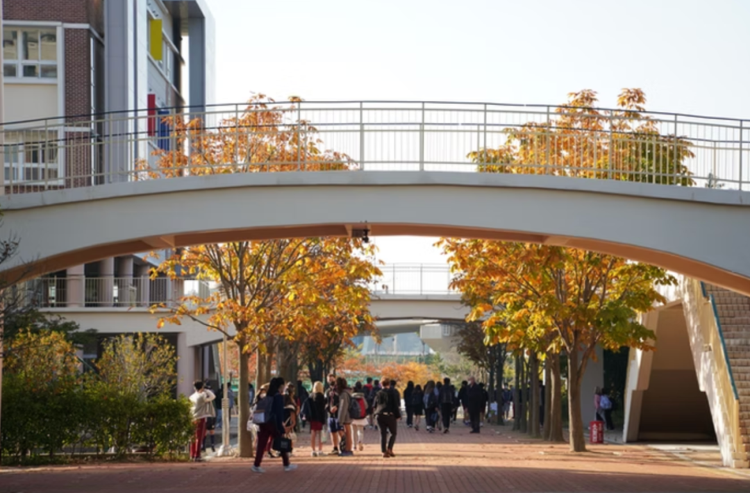 【国际学校小科普】釜山ISB全景解析 【国际学校小科普】釜山ISB全景解析
