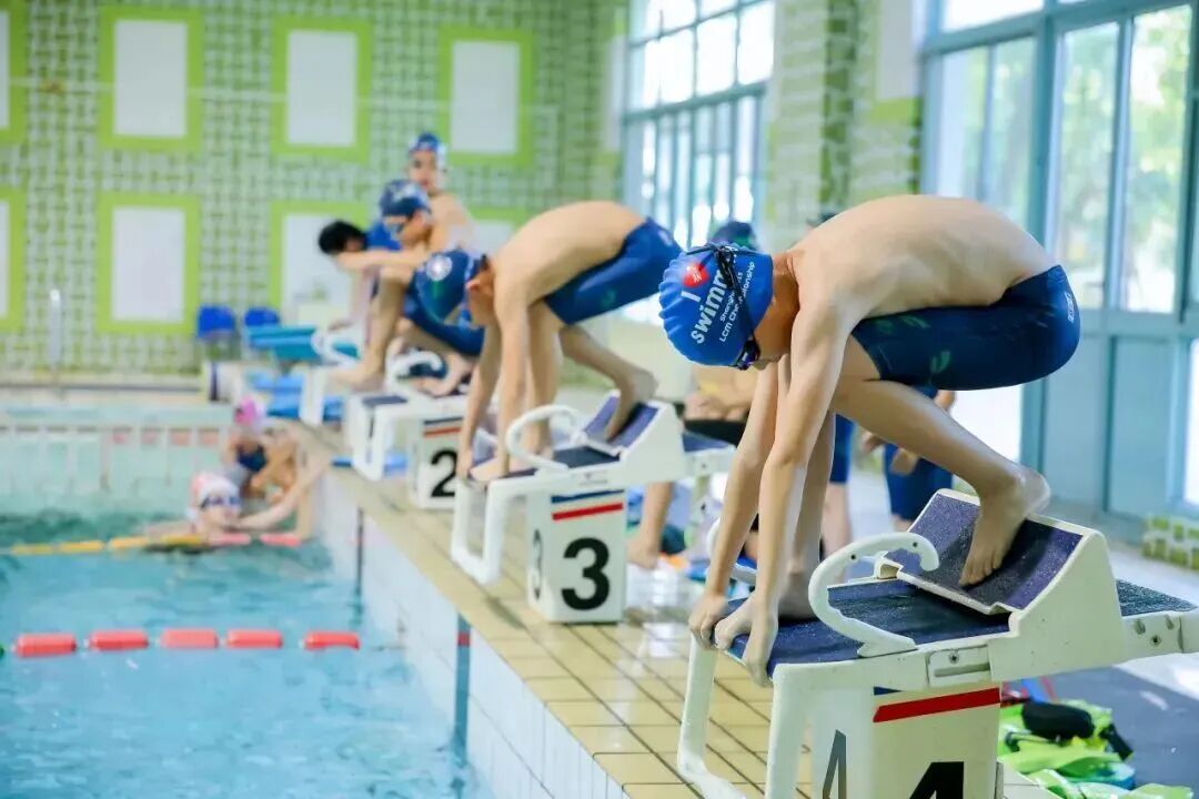 上海青浦区国际学校|上海宋庆龄学校 上海青浦区国际学校|上海宋庆龄学校