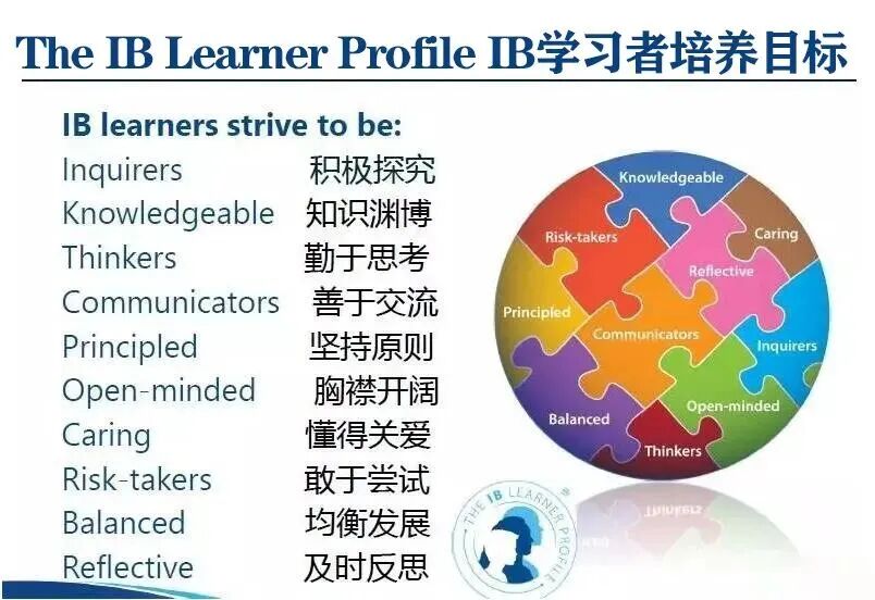 IB课程包括哪些内容？什么样的孩子适合学习IB？附机构IB课程培训班