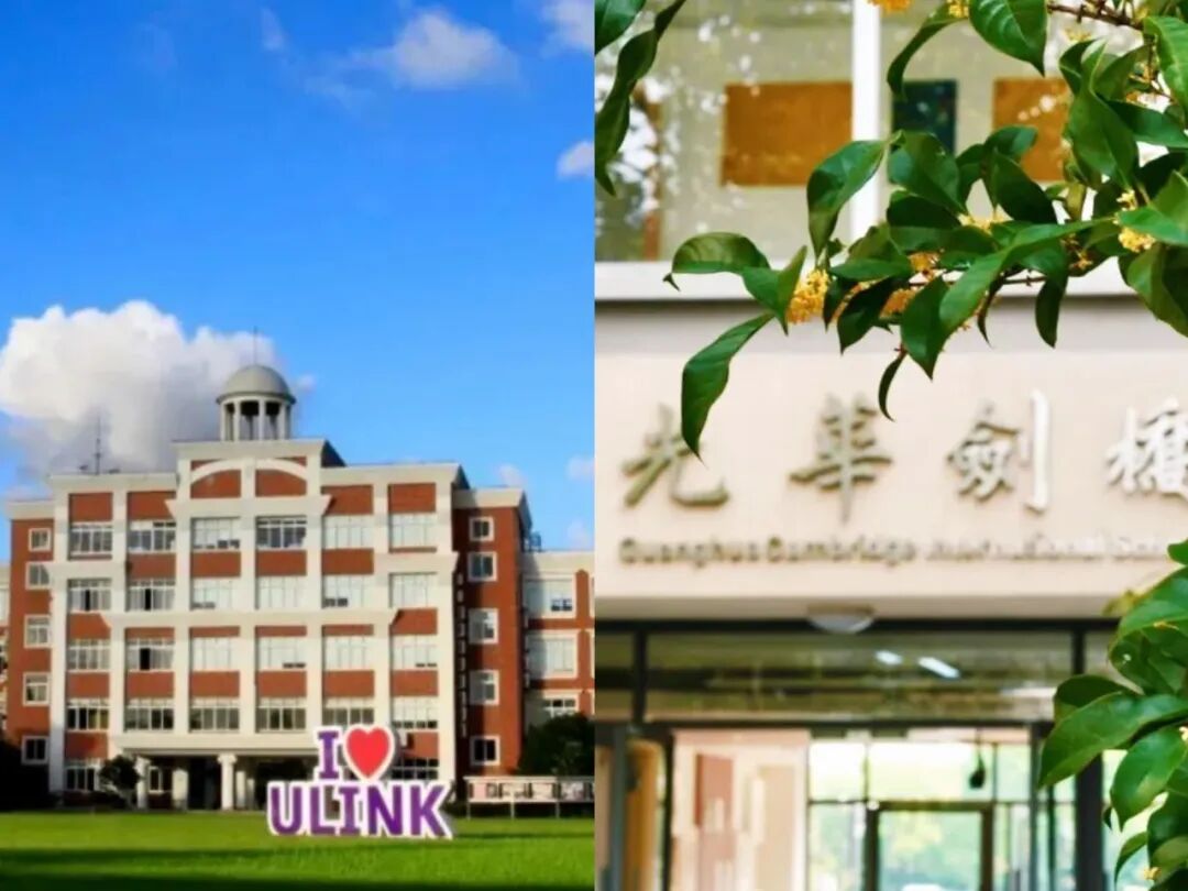 领科/光剑/世外/星河湾/WLSA考试难度大PK！今年春招难度升级了吗？