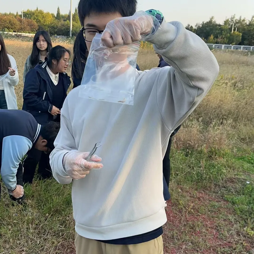 南京国际高中|南理工紫金学院OSSD&A-level、日本课程2026年招生简章！学费8万一年！