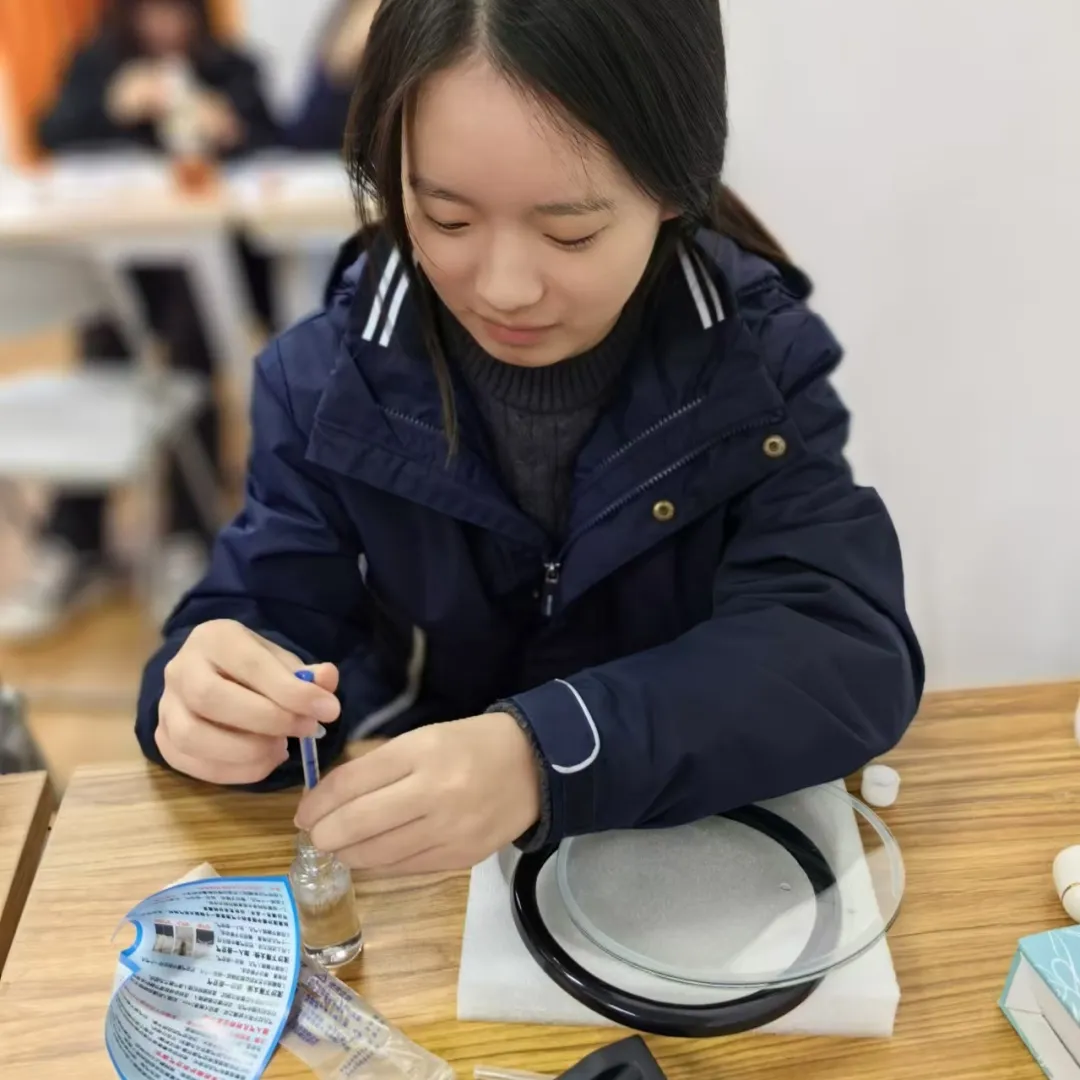 南京国际高中|南理工紫金学院OSSD&A-level、日本课程2026年招生简章！学费8万一年！