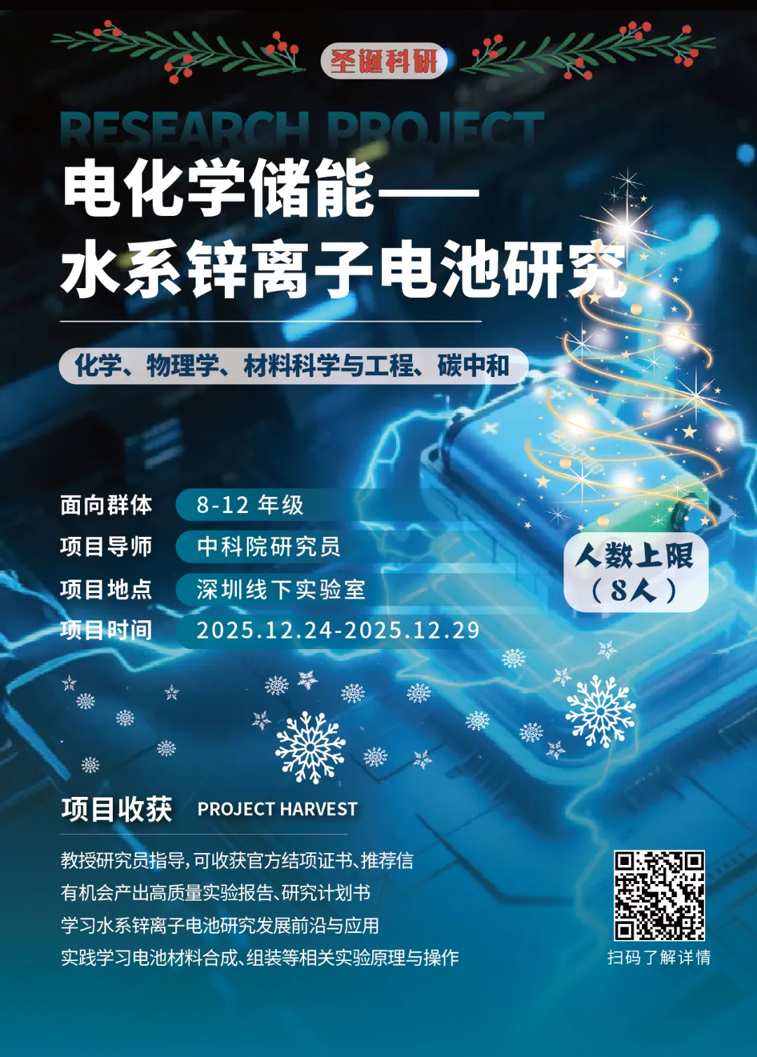 项目合集 | 机构2025圣诞&2026寒假项目全新线下科研项目特辑