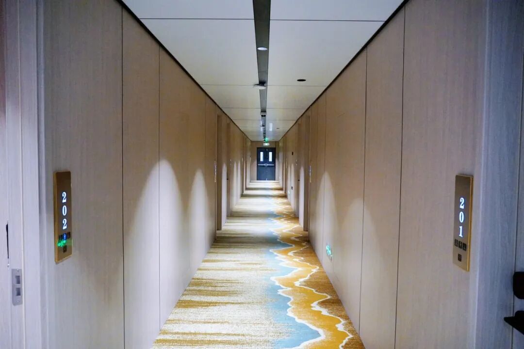 上海青藤学园中日融合高中|校园开放日&2026年春季生招考公告