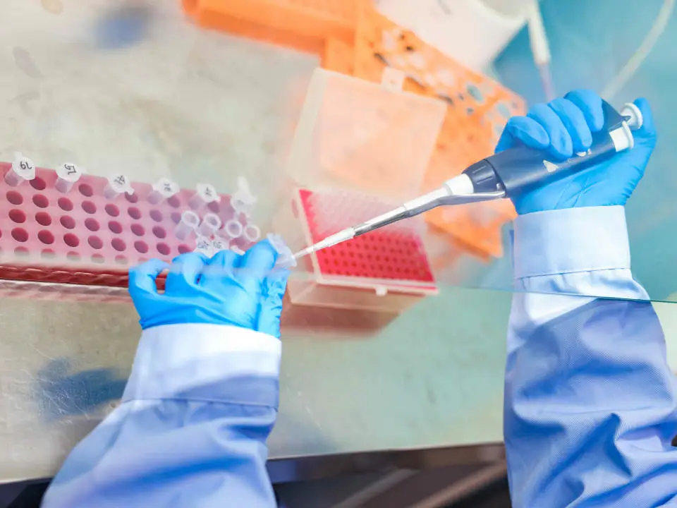 上海松江国际高中 | 2026年上海领科国际学校招生简章！