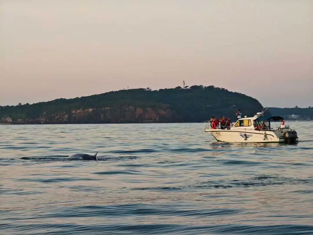 【赤道瑰宝·斯里兰卡】伫立“赤道之心”,开启一场环岛自然生物与人文的深度考察! 【赤道瑰宝·斯里兰卡】伫立“赤道之心”,开启一场环岛自然生物与人文的深度考察!