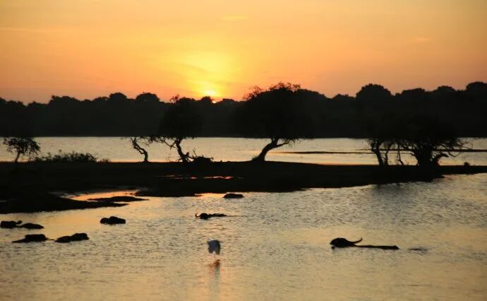 【赤道瑰宝·斯里兰卡】伫立“赤道之心”,开启一场环岛自然生物与人文的深度考察! 【赤道瑰宝·斯里兰卡】伫立“赤道之心”,开启一场环岛自然生物与人文的深度考察!