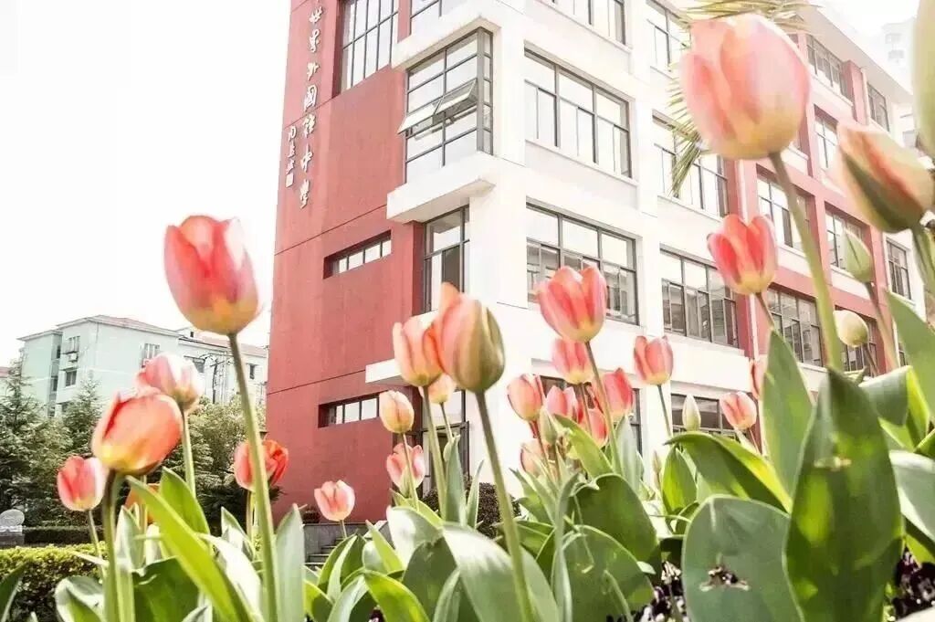 开考倒计时!2026年世外、平和春招考试即将启动!该怎么选? 开考倒计时!2026年世外、平和春招考试即将启动!该怎么选?