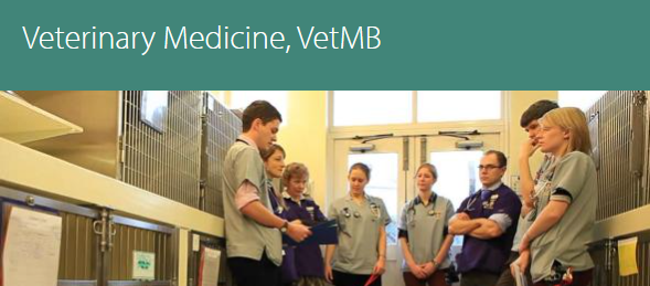 牛剑G5也有几乎不收中国学生的专业,建议慎选! 牛剑G5也有几乎不收中国学生的专业,建议慎选!