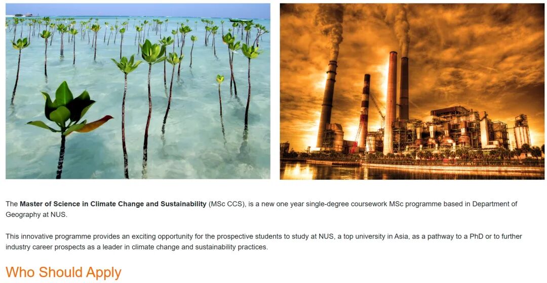热门专业≠好出路？留学党必看：真正的就业王牌是这些！