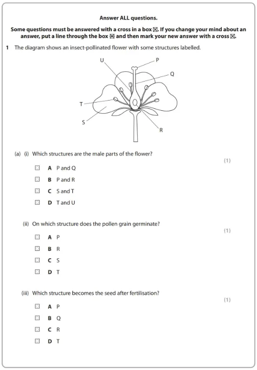 【国际生必看】IGCSE选课组合推荐,一文解决你的选课难题 【国际生必看】IGCSE选课组合推荐,一文解决你的选课难题