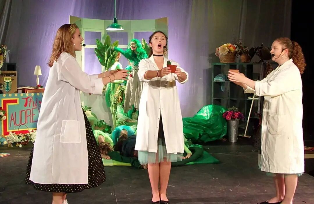 Sidcot School|全英最佳马术运动名校之一,AL/IB双体系,科学、数学和创意艺术享盛誉 Sidcot School|全英最佳马术运动名校之一,AL/IB双体系,科学、数学和创意艺术享盛誉