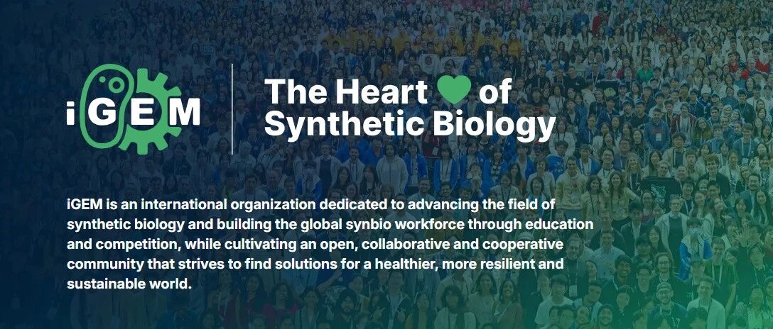 一举多得的iGEM竞赛到底有多香？一篇带你全面剖析！