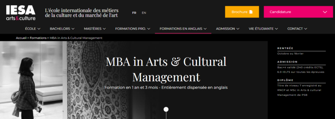 IESA英授1年制硕士:MBA艺术管理 - 与PSB合作 - RNCP 7级 IESA英授1年制硕士:MBA艺术管理 - 与PSB合作 - RNCP 7级