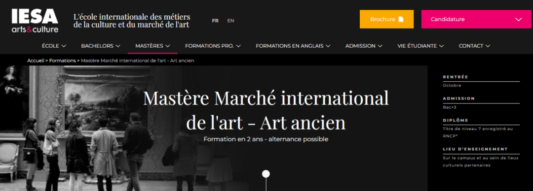 IESA法授2年制硕士:Mastère国际艺术市场 - 古代艺术 - RNCP 7 级 IESA法授2年制硕士:Mastère国际艺术市场 - 古代艺术 - RNCP 7 级