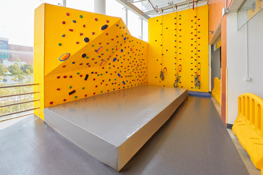 开设体育体育特长生项目的国际学校——上海浦东新区民办万科学校