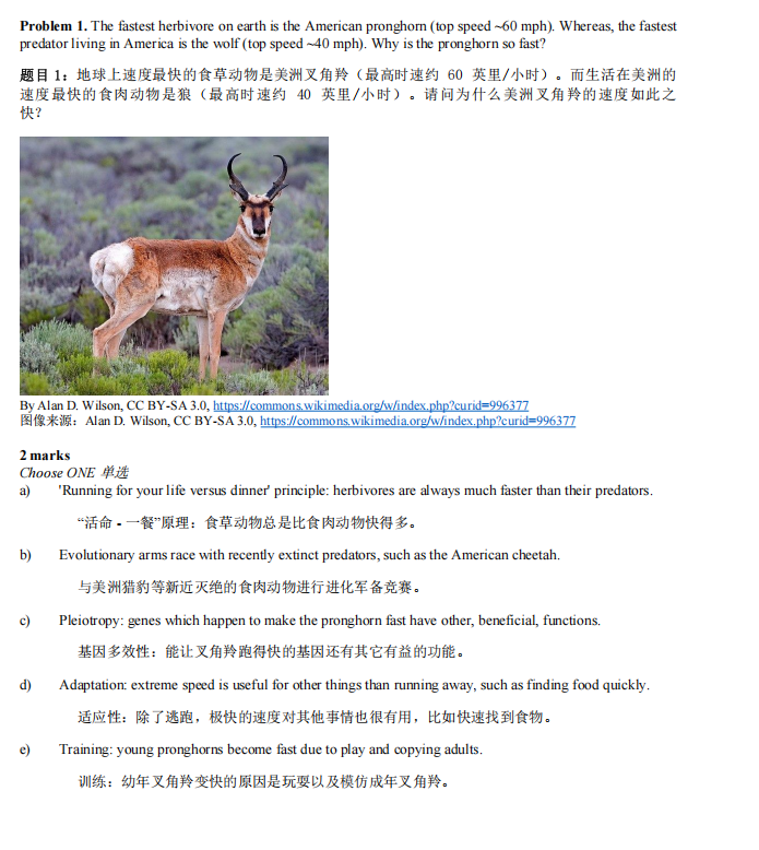 BBO 生物竞赛全解析!与 IG 生物难度差在哪?真题免费送 BBO 生物竞赛全解析!与 IG 生物难度差在哪?真题免费送