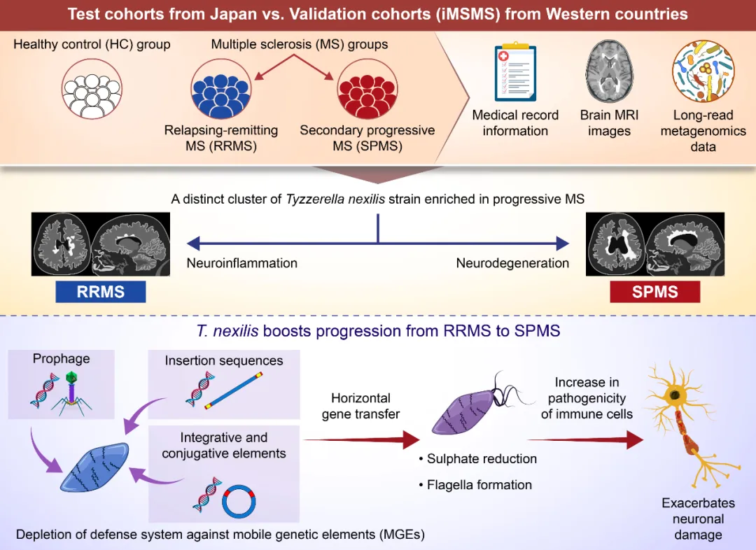 从“学术PPT”到“顶刊名片”只因为你的图文摘要做对了这几步！
