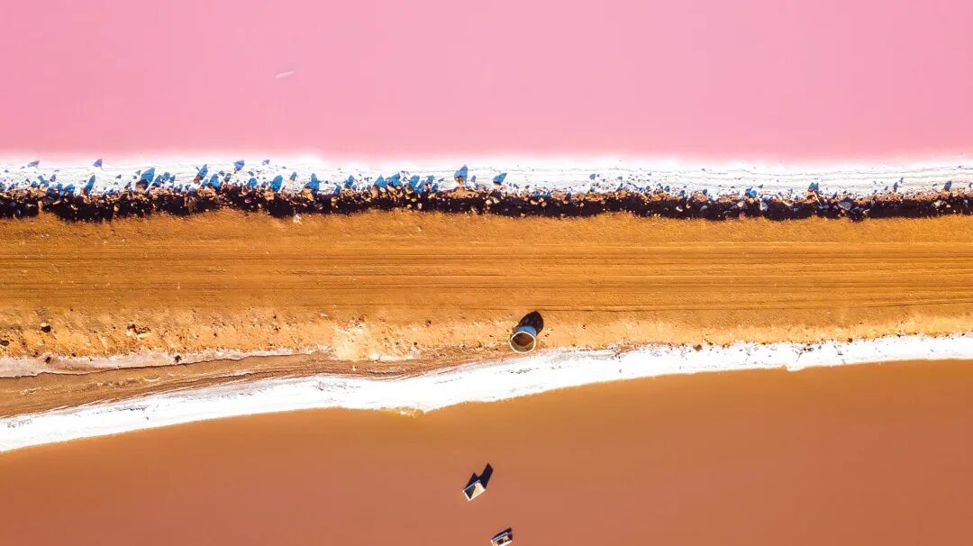 2025秋冬志愿者项目,学科知识解决社会议题 2025秋冬志愿者项目,学科知识解决社会议题